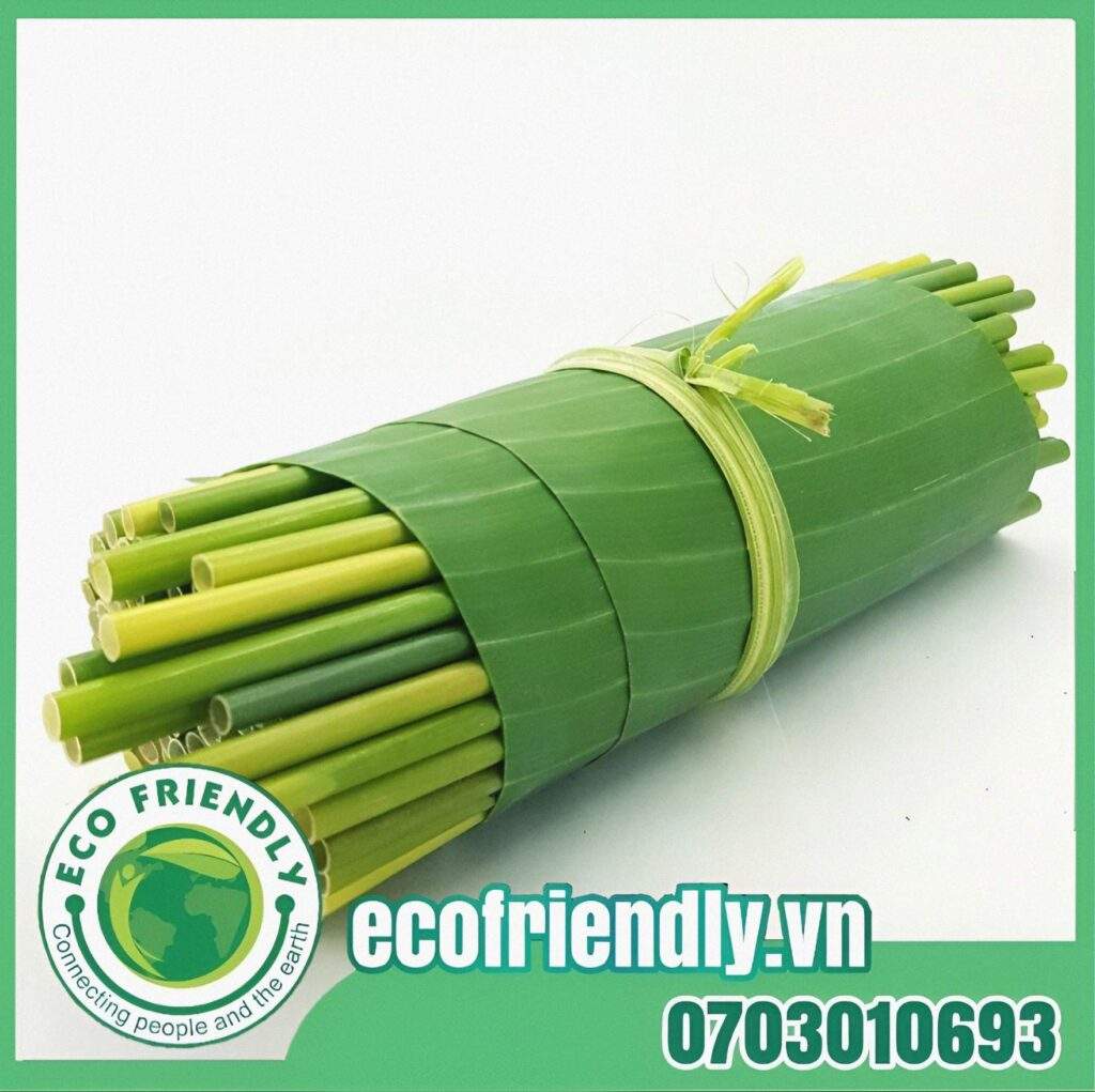 sản xuất ống hút cỏ tại Việt Nam