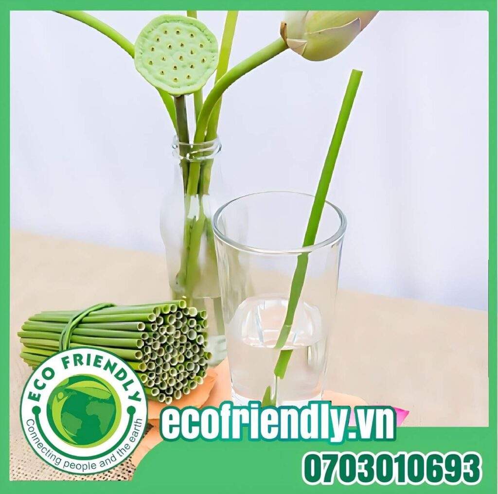 buy wholesale grass straws in Phu Quoc