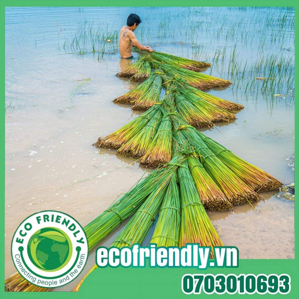 the wholesale price of Grass straws in Phu Quoc