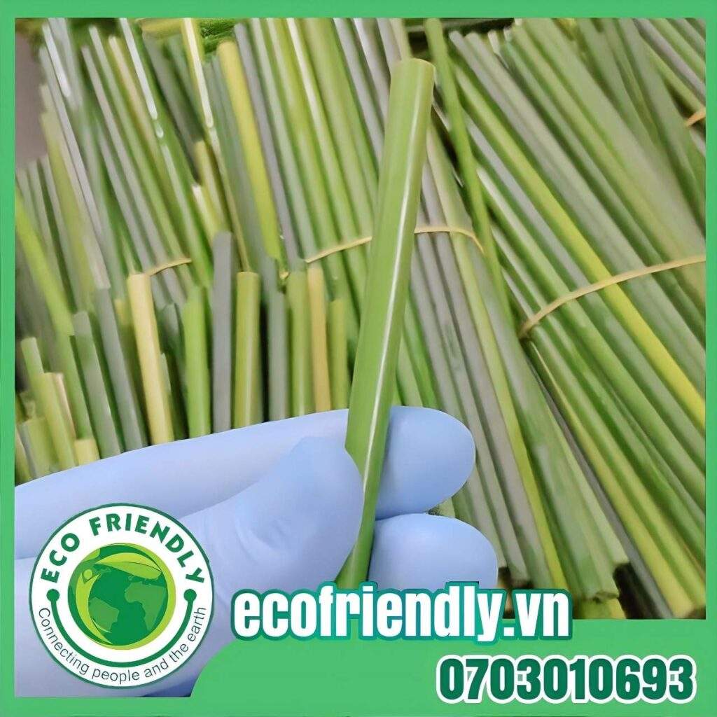 eco-friendly straw products alone
