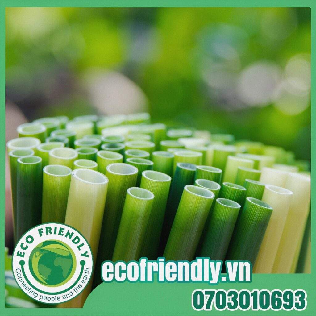 Eco Friendly Việt Nam cung cấp ống hút cỏ bàng khô giá sỉ hấp dẫn
