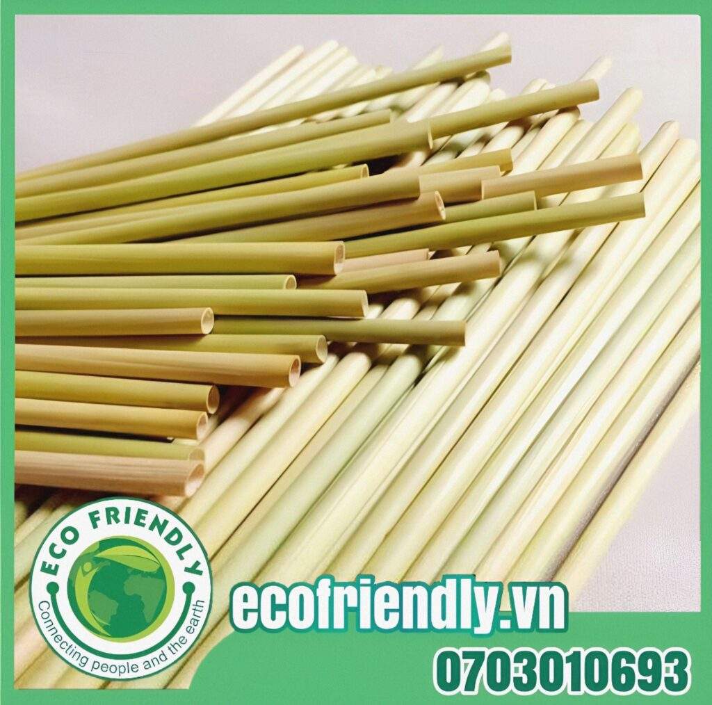 Eco Friendly Việt Nam xưởng sản xuất ống hút cỏ chuyên nghiệp