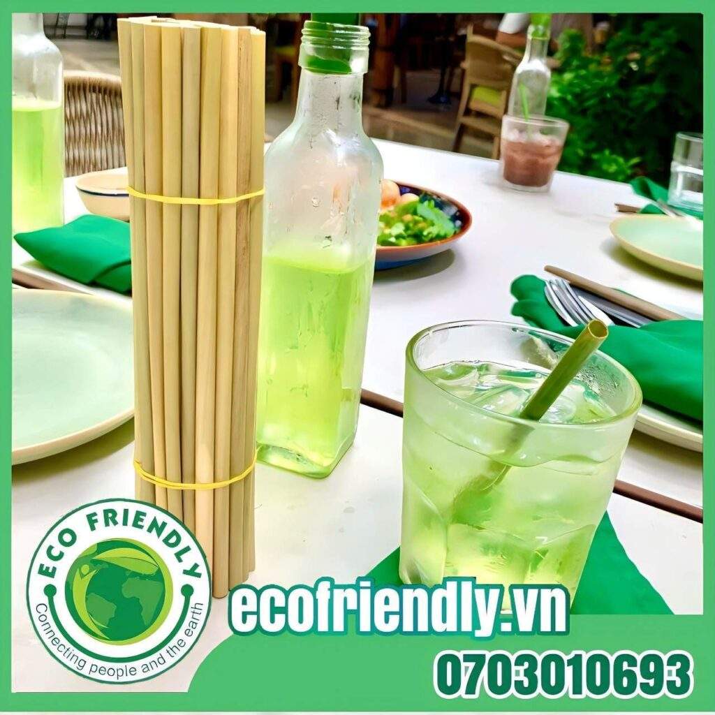 Eco Friendly Việt Nam là xưởng sản xuất ống hút chuyên nghiệp